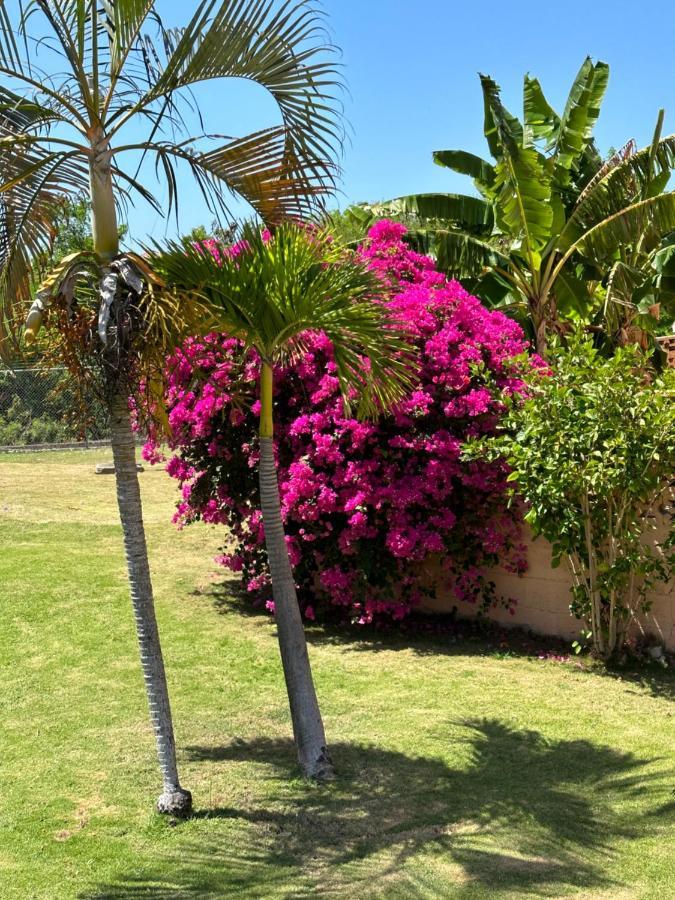 Remarkable 1-Bed Apartment In Montego Bay Luaran gambar
